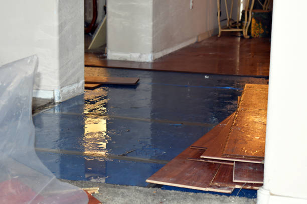 Professional Emergency Water Damage Restoration technician working in Woodville, TX